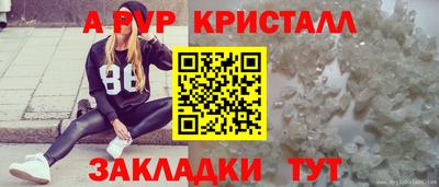 амф Можга