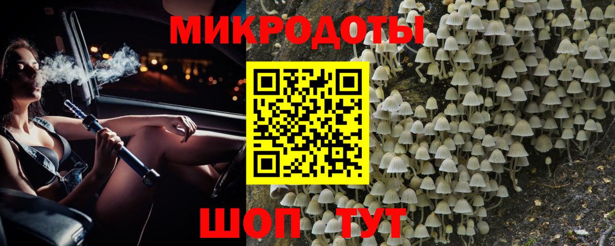 Чернушка  Галлюциногенные грибы Psilocybe  Вход с VPN  Галлюциногенные грибы прущие грибы 